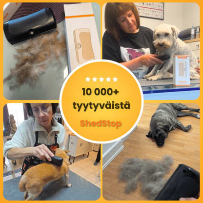 ShedStop – Ammattitason turkinhoitoa kotona 🐾