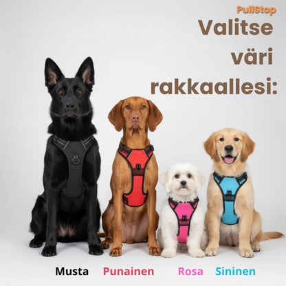 PullStop – Ei enää vetämistä hihnassa