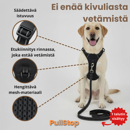 PullStop – Ei enää vetämistä hihnassa