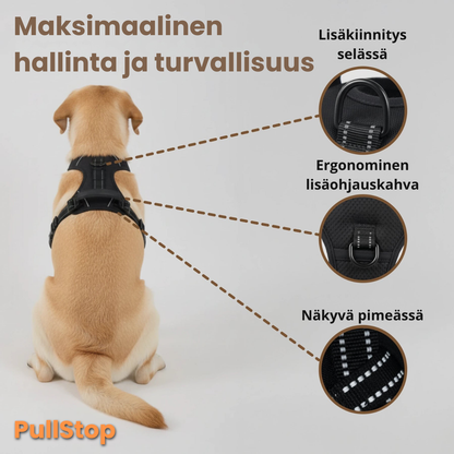 PullStop – Ei enää vetämistä hihnassa