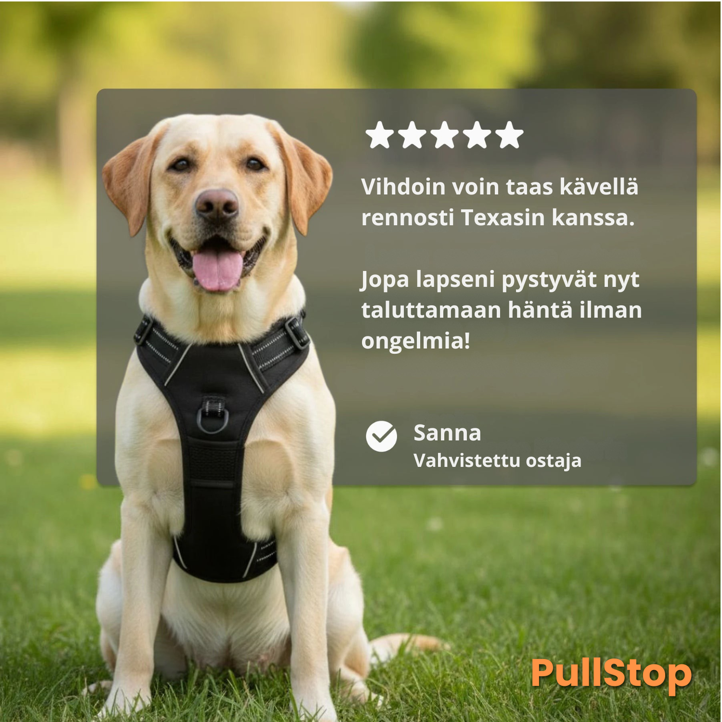 PullStop – Ei enää vetämistä hihnassa