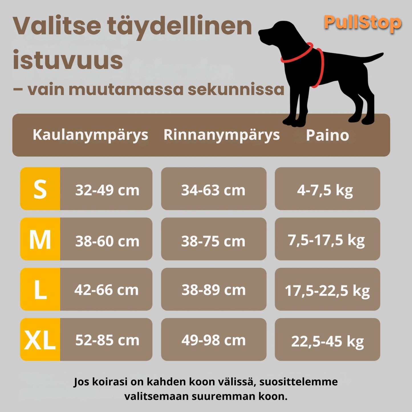 PullStop – Ei enää vetämistä hihnassa