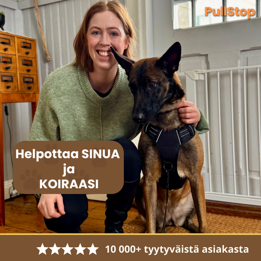 PullStop – Ei enää vetämistä hihnassa