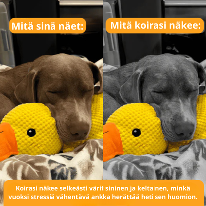 BarkDuck – Stressiä vähentävä ankka