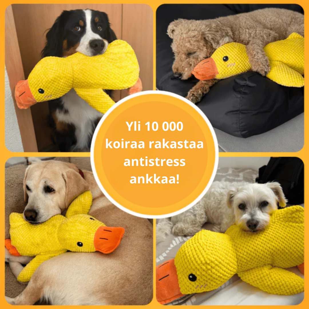 BarkDuck – Stressiä vähentävä ankka