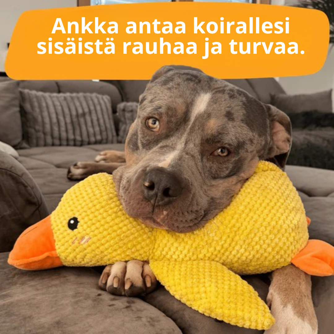 BarkDuck – Stressiä vähentävä ankka