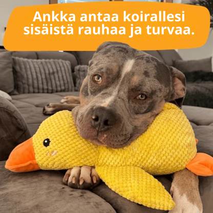 BarkDuck – Stressiä vähentävä ankka